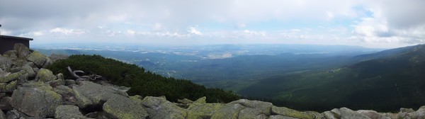Szrenica